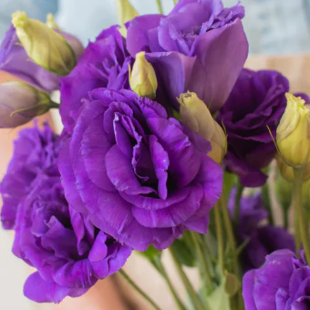 Build Your Own Wildflower Box (10 bunch minimum) - Image 25