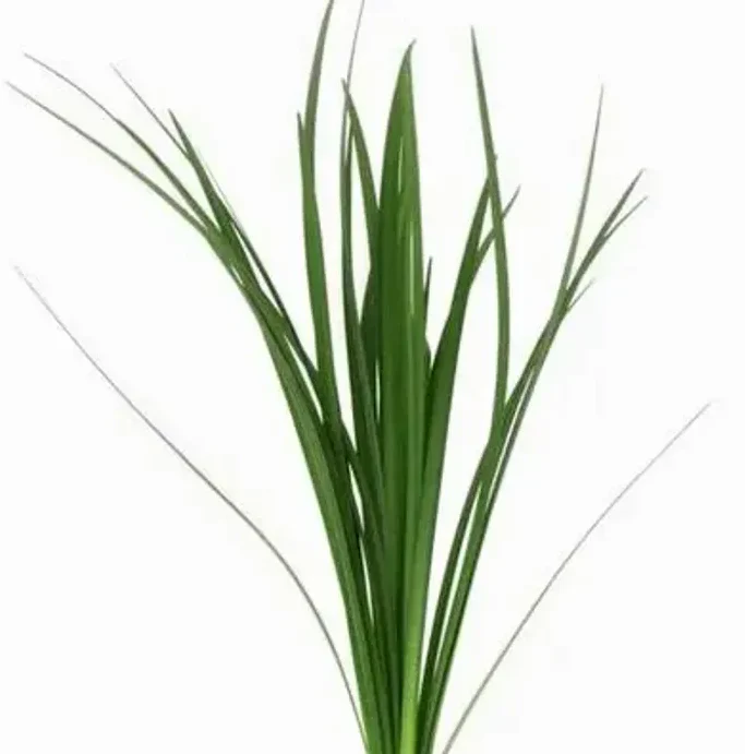 Build Your Own Wildflower Box (10 bunch minimum) - Image 32