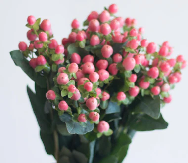 Build Your Own Wildflower Box (10 bunch minimum) - Image 40