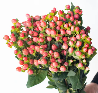 Build Your Own Wildflower Box (10 bunch minimum) - Image 42