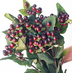 Build Your Own Wildflower Box (10 bunch minimum) - Image 46