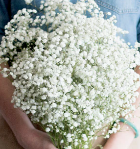 Build Your Own Wildflower Box (10 bunch minimum) - Image 47