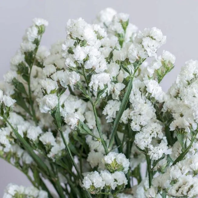 Build Your Own Wildflower Box (10 bunch minimum) - Image 49