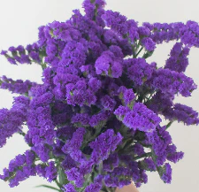 Build Your Own Wildflower Box (10 bunch minimum) - Image 50