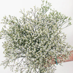 Build Your Own Wildflower Box (10 bunch minimum) - Image 57