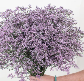 Build Your Own Wildflower Box (10 bunch minimum) - Image 58