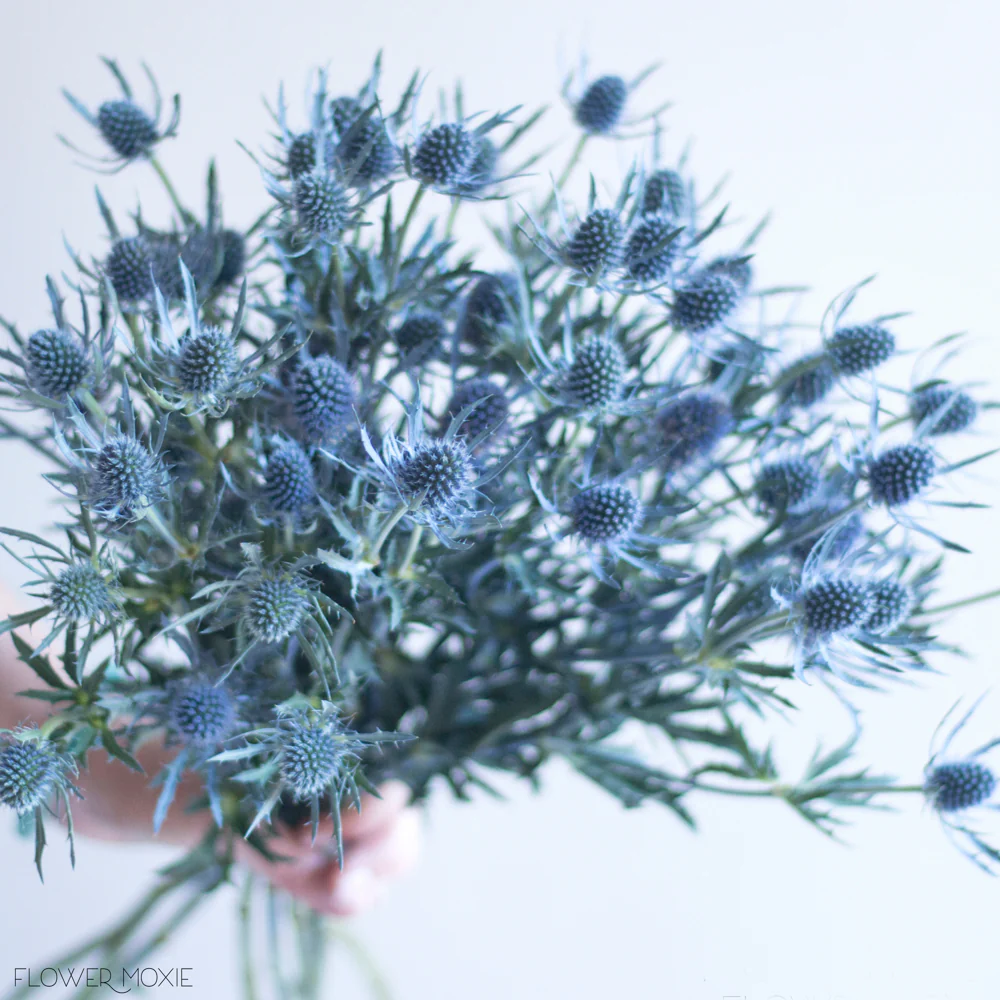 Build Your Own Wildflower Box (10 bunch minimum) - Image 62