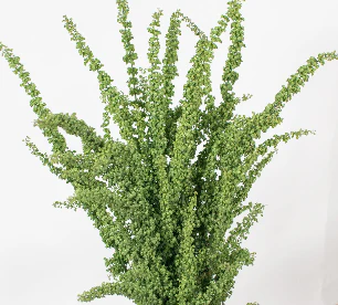 Build Your Own Wildflower Box (10 bunch minimum) - Image 64