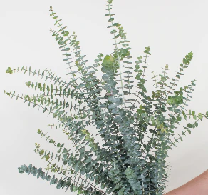 Build Your Own Wildflower Box (10 bunch minimum) - Image 65