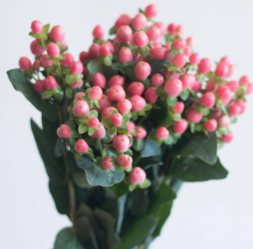 Build Your Own Wildflower Box (10 bunch minimum) - Image 69