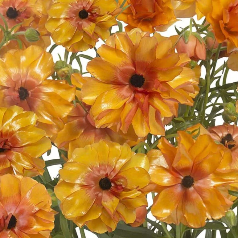 Build Your Own Wildflower Box (10 bunch minimum) - Image 7