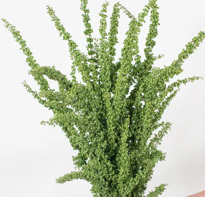 Build Your Own Wildflower Box (10 bunch minimum) - Image 70