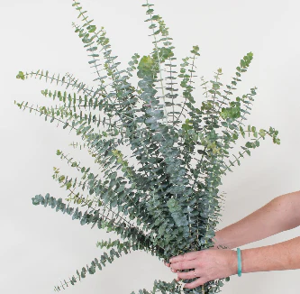 Build Your Own Wildflower Box (10 bunch minimum) - Image 71