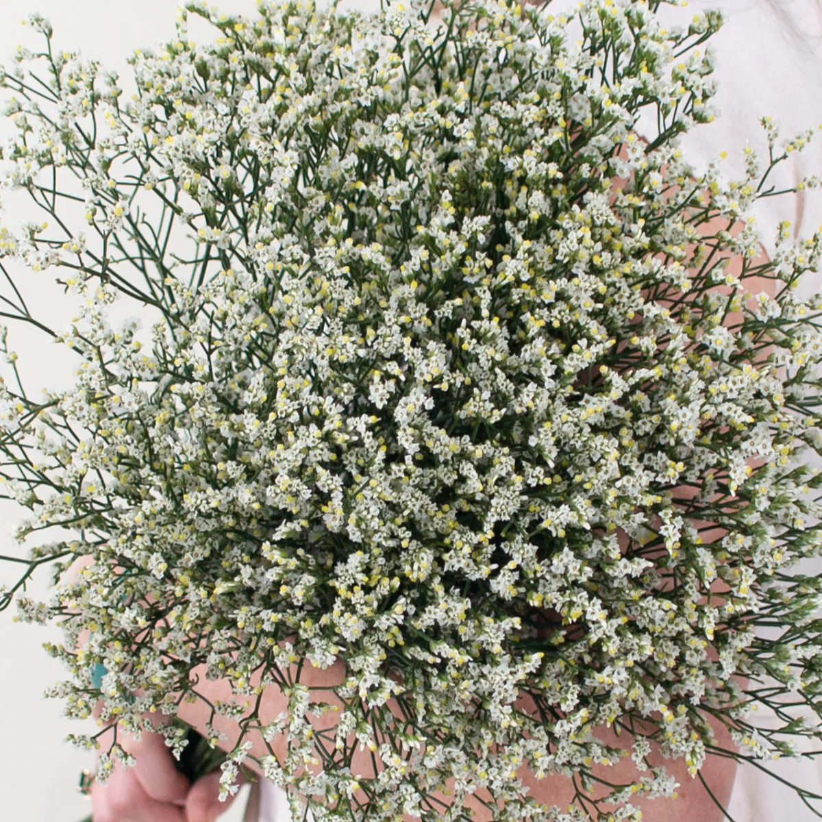 Build Your Own Wildflower Box (10 bunch minimum) - Image 72