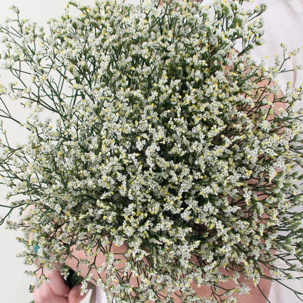 Build Your Own Wildflower Box (10 bunch minimum) - Image 75