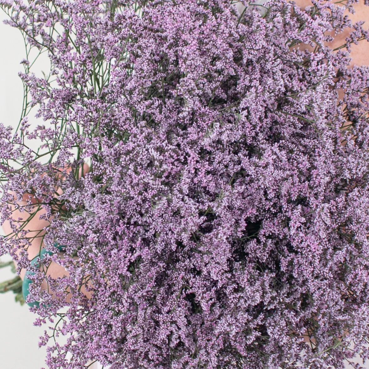 Build Your Own Wildflower Box (10 bunch minimum) - Image 76