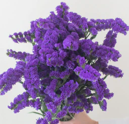Build Your Own Wildflower Box (10 bunch minimum) - Image 79