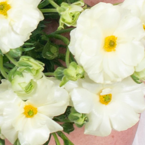 Build Your Own Wildflower Box (10 bunch minimum) - Image 8
