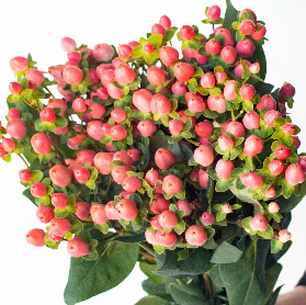 Build Your Own Wildflower Box (10 bunch minimum) - Image 80
