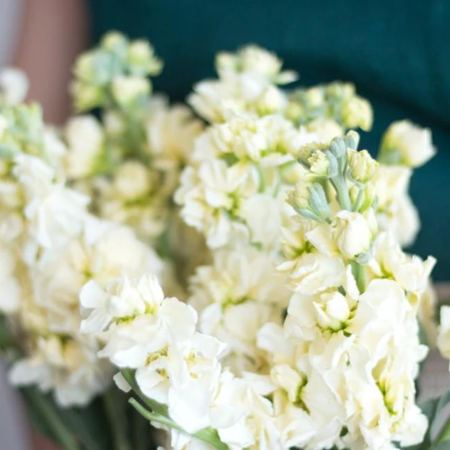 Build Your Own Ceremony Flower Box (5 bunch minimum) - Image 61
