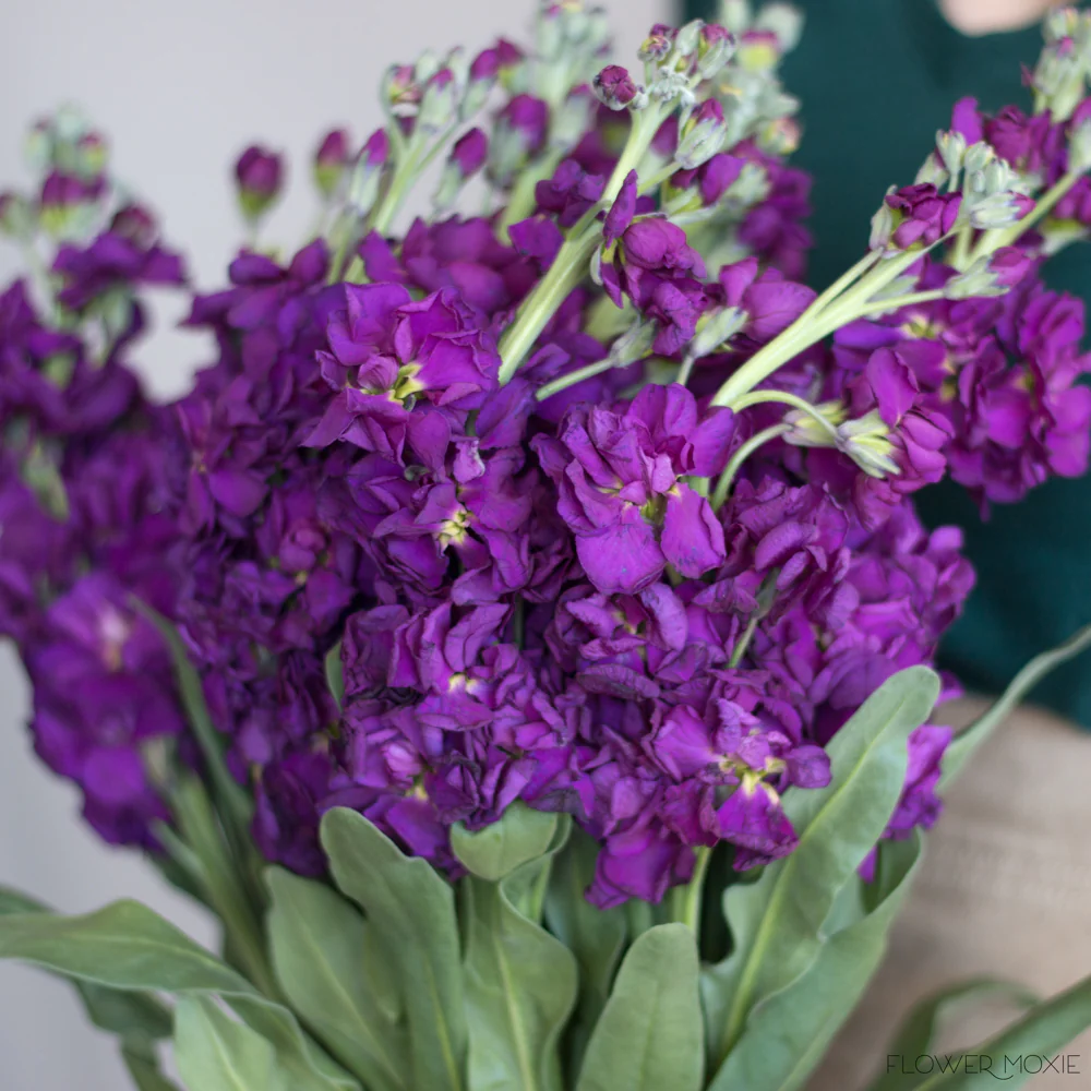 Build Your Own Ceremony Flower Box (5 bunch minimum) - Image 67