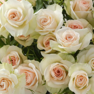 Build Your Own Ceremony Flower Box (5 bunch minimum) - Image 83
