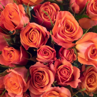 Build Your Own Ceremony Flower Box (5 bunch minimum) - Image 84