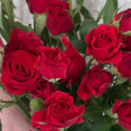 Build Your Own Ceremony Flower Box (5 bunch minimum) - Image 85
