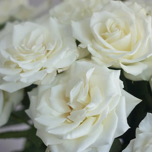 Build Your Own Garden Flower Box (5 bunch minimum) - Image 26