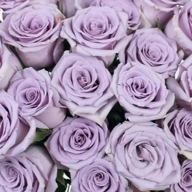 Build Your Own Garden Flower Box (5 bunch minimum) - Image 33