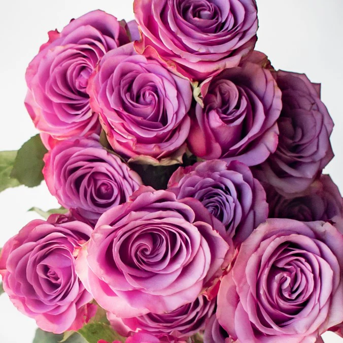 Build Your Own Garden Flower Box (5 bunch minimum) - Image 34