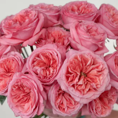 Build Your Own Garden Flower Box (5 bunch minimum) - Image 43