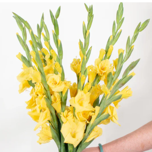 Build Your Own Garden Flower Box (5 bunch minimum) - Image 68