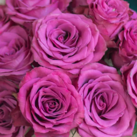 Build Your Own Garden Flower Box (5 bunch minimum) - Image 75