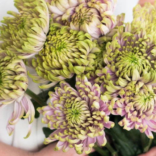 Build Your Own Garden Flower Box (5 bunch minimum) - Image 9