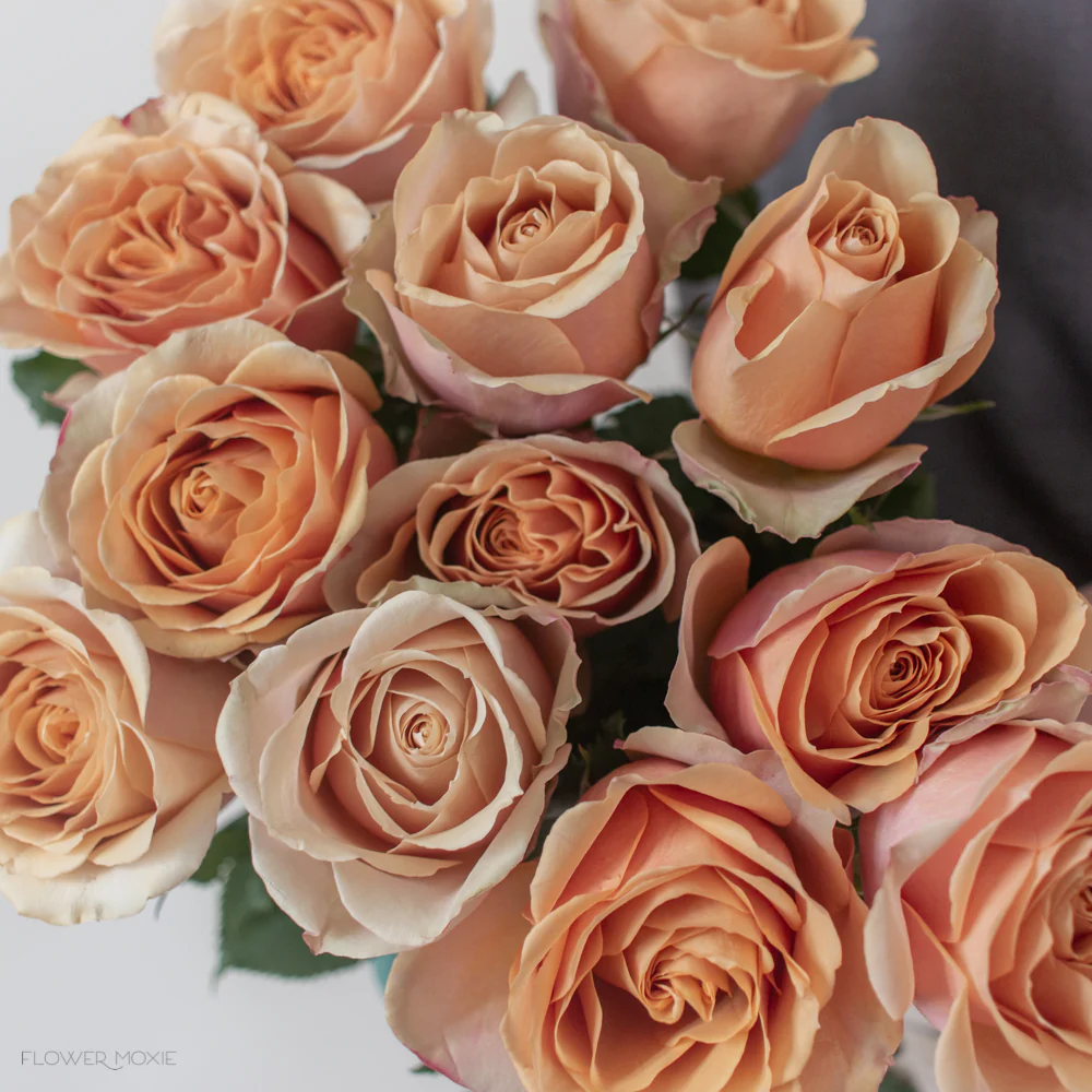 Build Your Own Garden Rose Box (2 bunch minimum) - Image 10