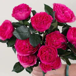 Build Your Own Garden Rose Box (2 bunch minimum) - Image 14