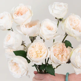 Build Your Own Garden Rose Box (2 bunch minimum) - Image 19