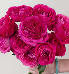 Build Your Own Garden Rose Box (2 bunch minimum) - Image 26