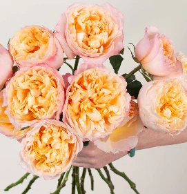 Build Your Own Garden Rose Box (2 bunch minimum) - Image 29
