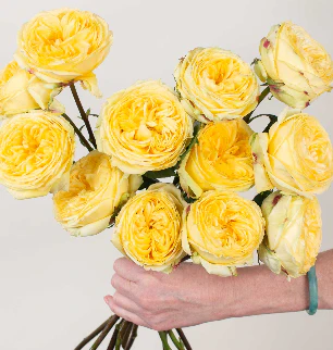 Build Your Own Garden Rose Box (2 bunch minimum) - Image 3
