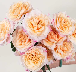Build Your Own Garden Rose Box (2 bunch minimum) - Image 37