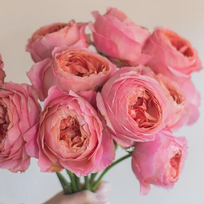 Build Your Own Garden Rose Box (2 bunch minimum) - Image 6