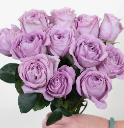Build Your Own Garden Rose Box (2 bunch minimum) - Image 7