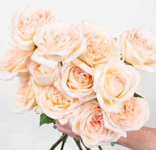 Build Your Own Garden Rose Box (2 bunch minimum) - Image 8