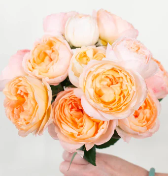 Build Your Own Garden Rose Box (2 bunch minimum) - Image 9