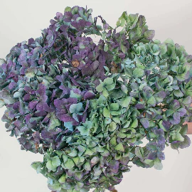 Build Your Own Hydrangea Box (4 bunch minimum) - Image 10
