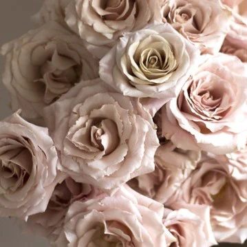 Build Your Own Rose & Carnation Box (2 bunch minimum) - Image 17