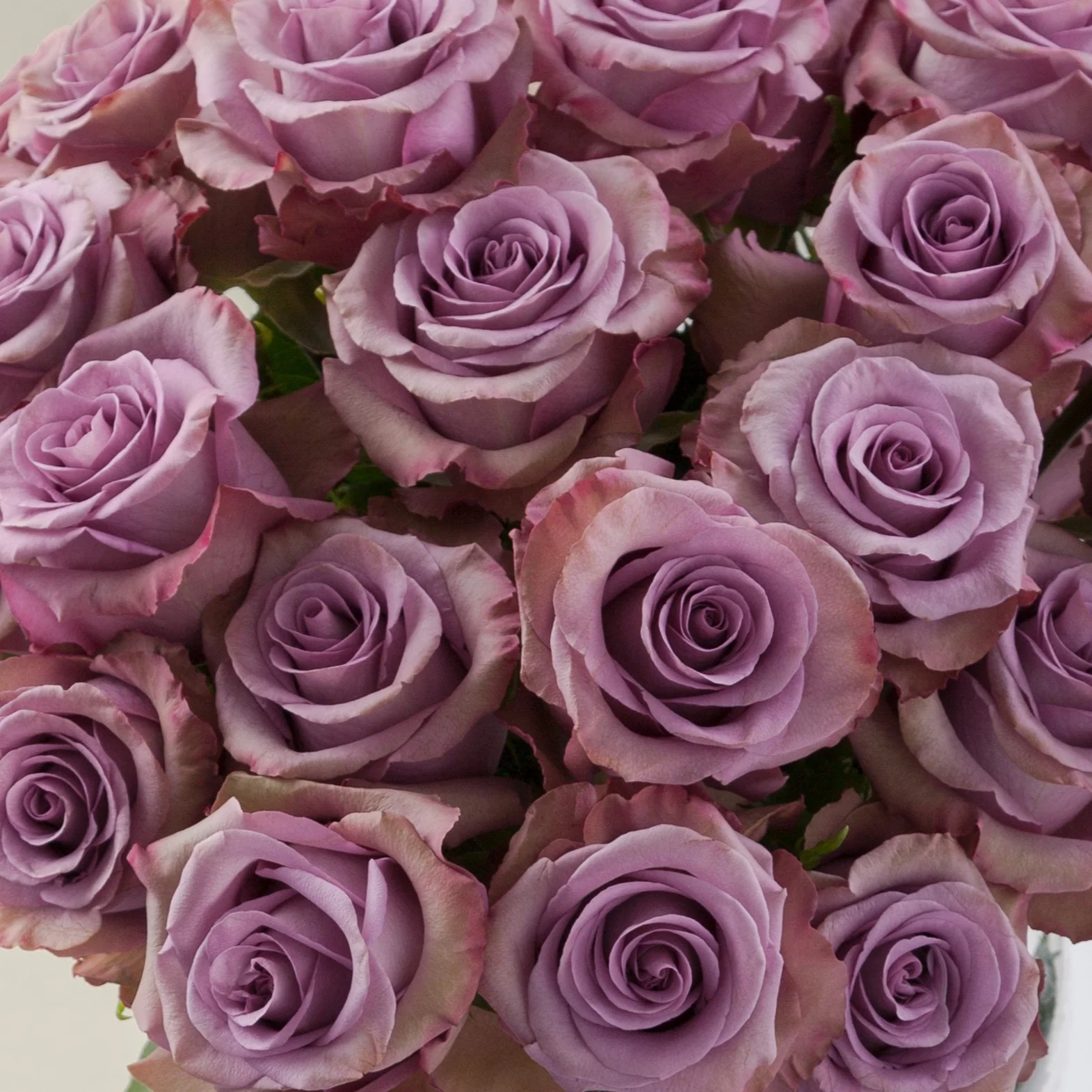 Build Your Own Rose & Carnation Box (2 bunch minimum) - Image 34