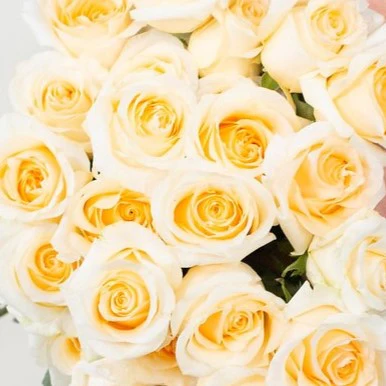 Build Your Own Rose & Carnation Box (2 bunch minimum) - Image 41